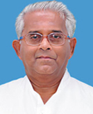 Rev. Fr. George Nelluvelil